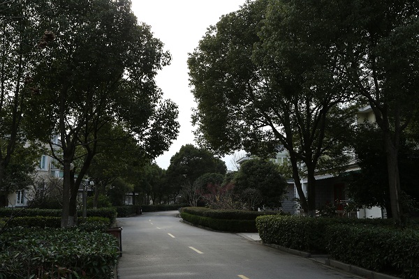 上海松江建设花园